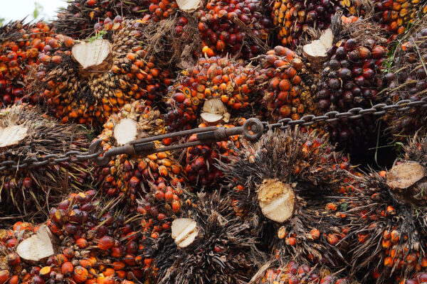 Skandal Pajak Banjarmasin