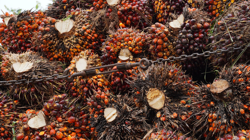 Skandal Pajak Banjarmasin